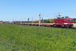 243 650 mit leeren Wagen am 22.4.26 bei Roßlau.