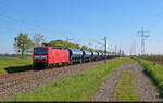 143 963-7  Laura  zieht eine lange Leine D�nger durch Braschwitz Richtung Halle (Saale).
Viele Gr��e zur�ck in den F�hrerstand!

🧰 DB Gebrauchtzug (DB Regio S�dost), vermietet an die InterTourex GmbH (ITX)
🕓 26.4.2025 | 9:48 Uhr