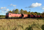 143 038-8 kommend aus dem Hagenower Land mit Getreidewaggons im Schlepptau. Schön zu sehen das die 143 wieder verstärkt eingesetzt wird. 3km östlich von Büchen 06.11.2017