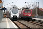 Während 9442 619 (Bombardier Talent 2) von Abellio Rail Mitteldeutschland als RB 74784 (RB75) nach Lutherstadt Eisleben den Hp Halle Rosengarten auf der Bahnstrecke Halle–Hann.