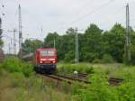 RE von Cottbus kommend kurz vor Elsterwerda-Biehla am 22.06.2007