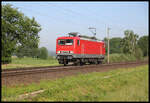 Solo kommt hier die private 143175-8 über die KBS 375 bei Westerhausen.