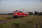 Die 143 238 zog im letzten Abendlicht, des 11.09.2023 den RE5 Neustrelitz - Stralsund, durch die Vallachei bei Zacharie.