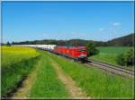 Der MEG Zementzug rollt bei bestem Frhsommerwetter nach Regensburg.(Parsberg,23.05.2009)