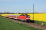 Mit dem RE 18 von Cottbus nach Dresden ist 143 567-6 auf der eingleisigen Strecke zwischen Groenhain und Priestewitz unterwegs. Fotografiert am 01.05.2011. 