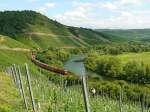 Durch die Weinberge des Saartals fhrt hier der RE12015 Saarbrcken-Trier-Koblenz.