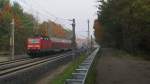 Whrend des Aufenthaltes am Gleis am 04.11.2011 war einiges los. Ich steige erstmal seicht mit einer RB bespannt von 143 812-6, die hier durch die herbstlichen Wlder um Bestensee donnert.