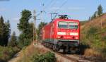 143 856-3 mit der RB 26959 (Freiburg(Breisgau) Hbf-Seebrugg) bei Brental