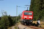 143 050-3 und 143 856-3 mit der RB 26953 (Freiburg(Brsg)Hbf-Seebrugg) am Windgfällweiher 30.8.15