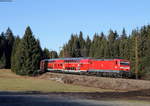 143 350-7 mit der RB 17213 (Freiburg(Brsg)Hbf-Neustadt(Schwarzw)) bei Hinterzarten 10.12.16