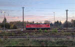 143 963-7 war eines Oktobermorgens im Bahnhof Halle-Nietleben abgestellt.