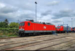 143 344-0 (Lok 605) zu Gast beim Tag der offenen Tür der Verkehrs Industrie Systeme GmbH (VIS) in Halberstadt.
