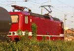 Durch die Botanik aufgenommen 1 - 243 559-2 DeltaRail mit dem Licht im Rücken aufgenommen durch Anklam am 07.08.2018 (neu eingestellt nach Überarbeitung).