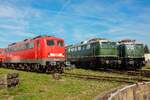 DB 150 186-5 DB Cargo, DB E50 091 & TRI E40 1313 im DB Museum Koblenz, September 2026.