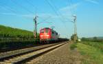 RAILION DB Logistics 151 059-3 mit Schotterwagen Richtung Koblenz, bei Erbach (Rheingau); 05.08.2009