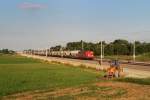 151 142 mit Getreidezug bei Mammendorf (19.07.2010)