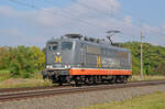 Am 02.10.25 rollte 162 008 (151 003) von Hectorrail Lz durch Braschwitz Richtung Halle(S).