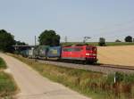 Die 151 075 mit einem KLV-Zug am 03.08.2013 unterwegs bei Felsheim.