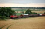 12.07.2008 155 065-6 nach Dresden unterwegs kurz vorm ehemaligen Block Grbern.