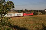 115 139 zieht einen Containerzug in Richtung Elsterwerda, hier am Stadtrand von Groenhain, 01.09.09