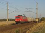 Verkehrsrot im Abendrot ;-) 155 113-4 fhrt mit einem Continental-Containerganzzug in Richtung Braunschweig.