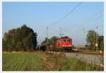 Kohleleerpendel mit 155 086 bei Doberlug Nord am 11.10.2010