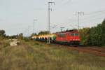 Br 155 122-5 mit Kesselzug durch der berliner Wuhlheide, 06/10/2010.