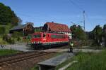 155 167 am 06.05.25 zwischen Rathen und K�nigstein