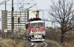 manchmal kann auch ein eisiger Hintern entzcken - 155 239 passiert Lz die Berliner Kurve in Stralsund zur Weiterfahrt auf die Insel Rgen am 14.12.2010