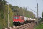 Am 29.04.2011 fhrt 155 141 mit einem Kesselzug Richtung Berlin, hier bei Chorin.

