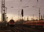 155 013 kam mit einem Kesselzug am 20.11.2011 durch Stendal in Richtung Magdeburg.