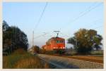 Im Abendlicht bei Doberlug - Nord, 2011