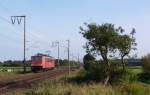 155 125-8 fuhr am 29.08.2012 als Lokzug aus dem Sden nach Emden, hier bei Veenhusen.