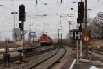 155 178-8 rollt hier am 01.03.13 mit ihrem 52523 nach Zwickau ber die Elbbrcke in den Bahnof Riesa hinein.