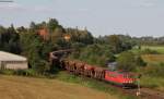 155 095-3 mit einem leeren Schotterzug bei Elze 3.9.14