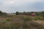 155 031 mit einem Güterzug am 06.10.2014 zwischen Großräschen und Senftenberg bei Sedlitz Ost