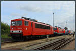 Mehrere elektrische Lokomotiven stehen am 02.09.2023 zum Tag der offenen Tür auf dem Gelände der VIS Halberstadt. Vorn steht 155 273-6 der Budamar West, dahinter 143 344-0 der MEG, gefolgt von 145 058-4.