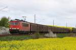 155 007 zieht einen Güterzug zwischen Wismar und Bad Kleinen.