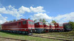 250 250-8 in einer Reihe mit anderen Lokomotiven aus der DDR-Zeit.