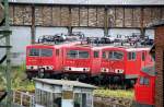 Drei Loks der BR 155 stehen am 04.07.09 im Railion-Werk Halle(S) am Ringlokschuppen abgestellt.