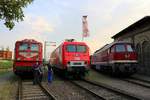 142 255-9, 156 003-6 und 130 101-9 stehen auf dem Gelände des DB Museums Halle (Saale) zur Nachtfotoveranstaltung am Wochenende des jährlichen Sommerfests.