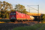 MEG 801 (156 001) und 602 (143 204) bei Redwitz/ Rodach am 24.07.2012.