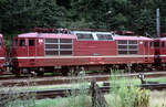 DR 230 004 am 20.07.1991 in BFad Schandau.