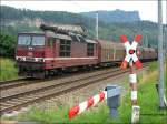 180 016 immer noch in Farbgebung Deutsche Reichsbahn (die seit 13 Jahren nicht mehr existiert) kommt mit einem Gterzug aus Tschechien durch die Schsische Schweiz - 28.06.2006  