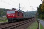 180 008 zwischen Wehlen und Obervogelgesang, zieht einen Containerzug in Richtung Dresden. 04.10.2012