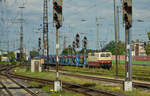 Die SEL 181 215-5 (Schlünß Eisenbahnlogistik) kämpft sich mit einem leeren Milsped-Autotransportzug durch den dichten Masten- und Signalwald in Aschaffenburg.