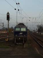 Bild NR. 100 auf Bb.de Hier einen sehr seltenen Besuch hatten wir am 20.11.2009 in Plattling. Die 1142 579 . 0 der SVG hatte sich auf Abstellgleis begeben und wanderte dann am Abend zurck in ihre Heimat sterreich.