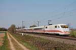 Nachschuss auf 401 085-6  Freilassing , als dieser am Nachmittag des 10.04.2020 als ICE 274 (Basel Bad Bf - Berlin Hbf) südlich von Buggingen durchs Rheintal fuhr.