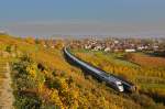 Parallelfahrt eines ICE 1 und einem Intercity mit einer BR 101 bei Istein.