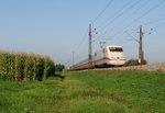 401 xxx am 16.09.14 zu sehen bei Neu Ulm.